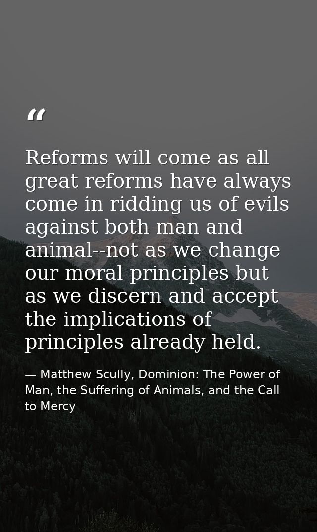 Reforms will come as all great reforms have always come in ridding us of evils against both man and animal--not as we ch — Matthew Scully, Dominion: The Power of Man, the Suffering of Animals, and the Call to Mercy