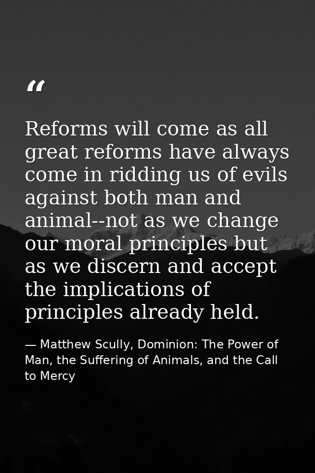 Reforms will come as all great reforms have always come in ridding us of evils against both man and animal--not as we ch — Matthew Scully, Dominion: The Power of Man, the Suffering of Animals, and the Call to Mercy