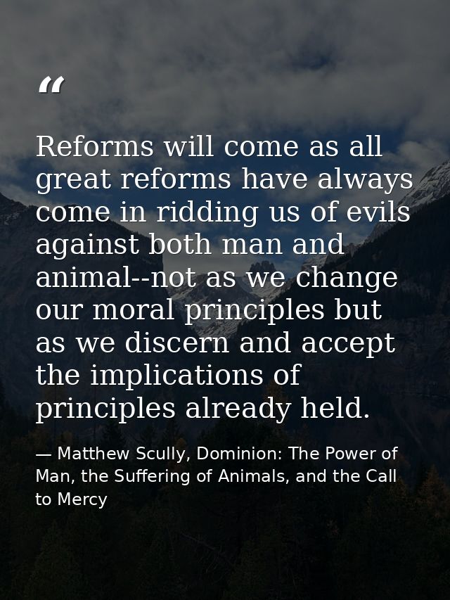 Reforms will come as all great reforms have always come in ridding us of evils against both man and animal--not as we ch — Matthew Scully, Dominion: The Power of Man, the Suffering of Animals, and the Call to Mercy