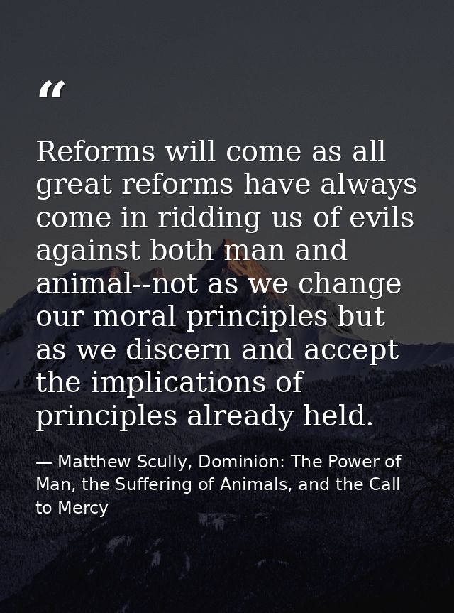 Reforms will come as all great reforms have always come in ridding us of evils against both man and animal--not as we ch — Matthew Scully, Dominion: The Power of Man, the Suffering of Animals, and the Call to Mercy