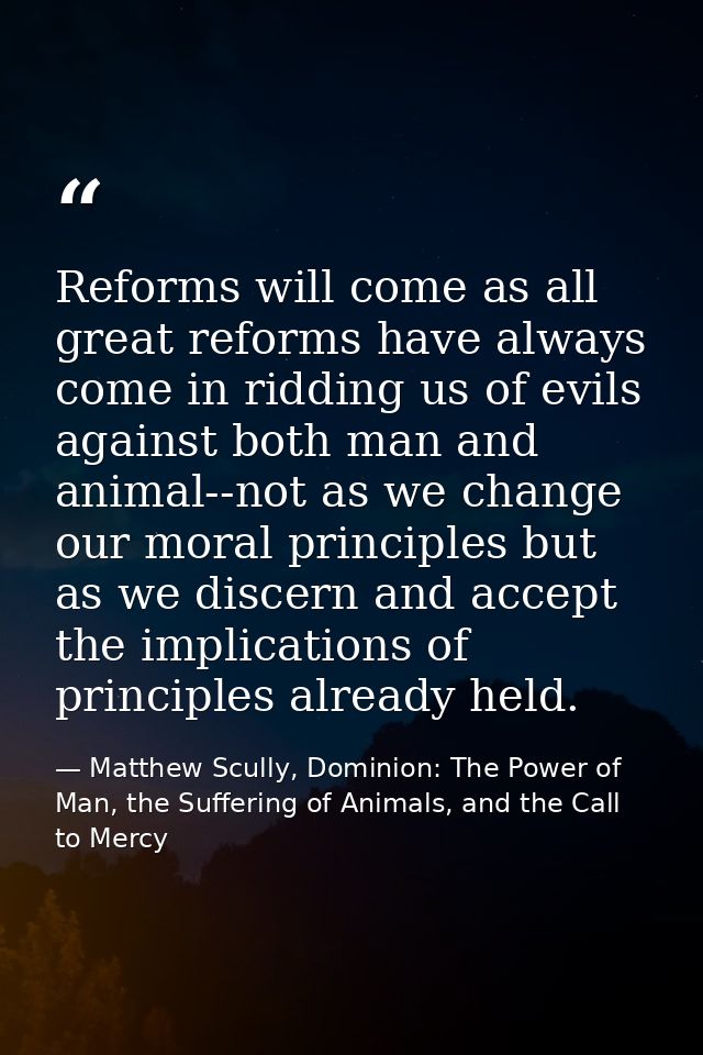Reforms will come as all great reforms have always come in ridding us of evils against both man and animal--not as we ch — Matthew Scully, Dominion: The Power of Man, the Suffering of Animals, and the Call to Mercy