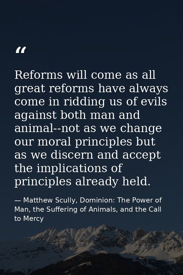 Reforms will come as all great reforms have always come in ridding us of evils against both man and animal--not as we ch — Matthew Scully, Dominion: The Power of Man, the Suffering of Animals, and the Call to Mercy