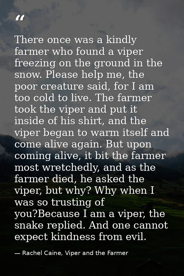 There once was a kindly farmer who found a viper freezing on the ground in the snow. Please help me, the poor creature s — Rachel Caine, Viper and the Farmer