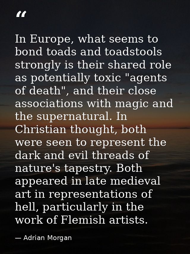In Europe, what seems to bond toads and toadstools strongly is their shared role as potentially toxic "agents of death", — Adrian Morgan