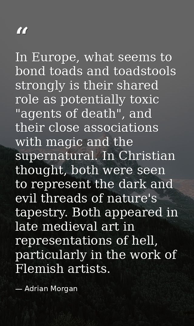 In Europe, what seems to bond toads and toadstools strongly is their shared role as potentially toxic "agents of death", — Adrian Morgan