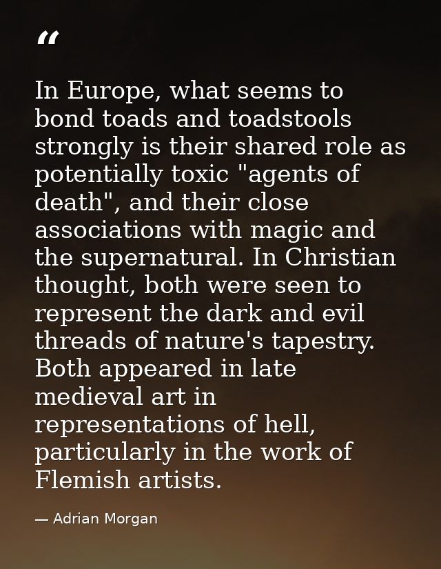 In Europe, what seems to bond toads and toadstools strongly is their shared role as potentially toxic "agents of death", — Adrian Morgan