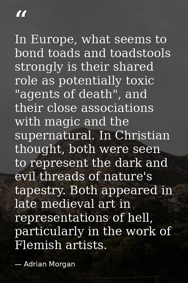In Europe, what seems to bond toads and toadstools strongly is their shared role as potentially toxic "agents of death", — Adrian Morgan