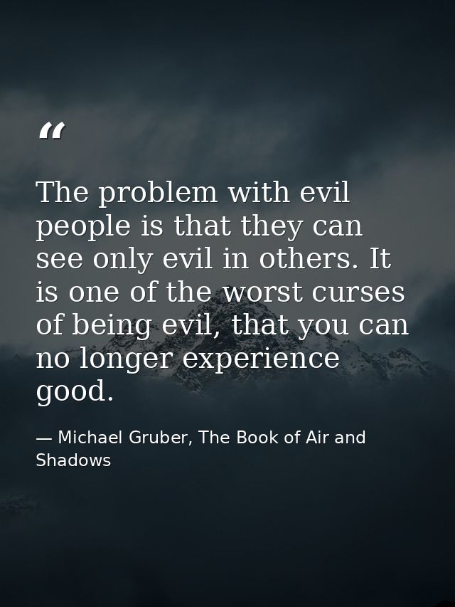 The problem with evil people is that they can see only evil in others. It is one of the worst curses of being evil, that — Michael Gruber, The Book of Air and Shadows