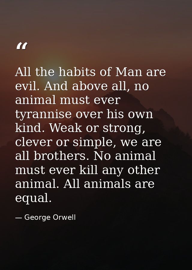 All the habits of Man are evil. And above all, no animal must ever tyrannise over his own kind. Weak or strong, clever o — George Orwell