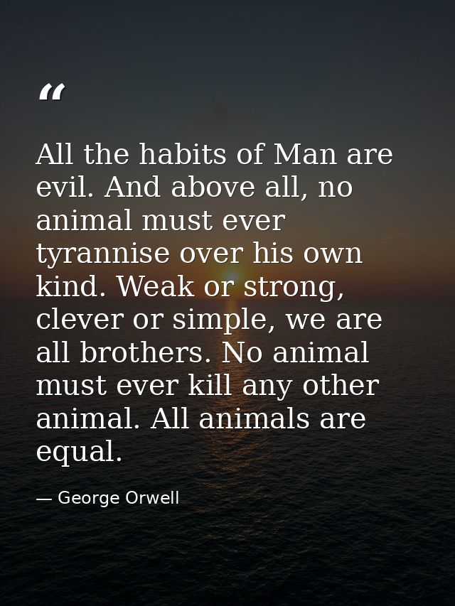 All the habits of Man are evil. And above all, no animal must ever tyrannise over his own kind. Weak or strong, clever o — George Orwell