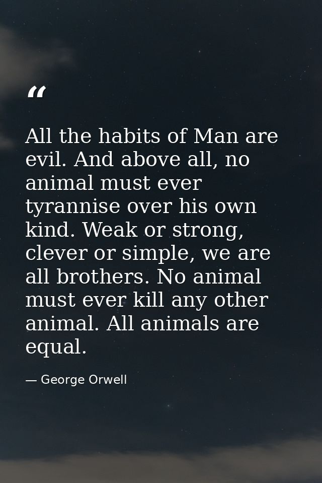 All the habits of Man are evil. And above all, no animal must ever tyrannise over his own kind. Weak or strong, clever o — George Orwell
