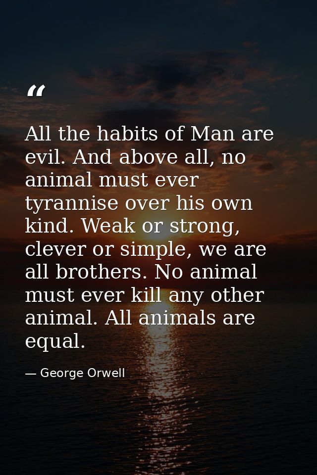 All the habits of Man are evil. And above all, no animal must ever tyrannise over his own kind. Weak or strong, clever o — George Orwell