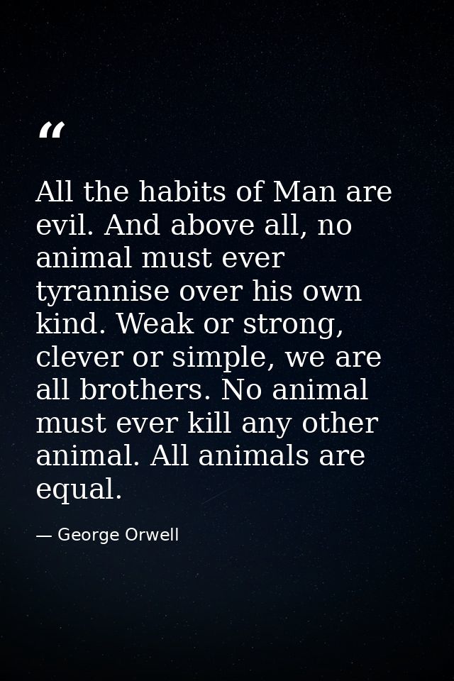 All the habits of Man are evil. And above all, no animal must ever tyrannise over his own kind. Weak or strong, clever o — George Orwell
