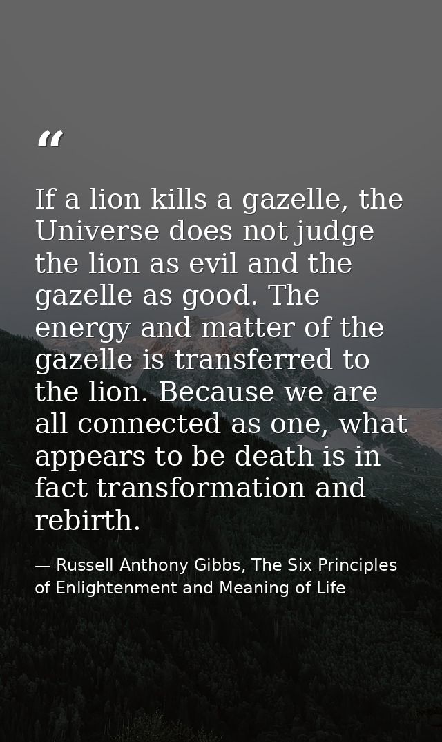 If a lion kills a gazelle, the Universe does not judge the lion as evil and the gazelle as good. The energy and matter o — Russell Anthony Gibbs, The Six Principles of Enlightenment and Meaning of Life