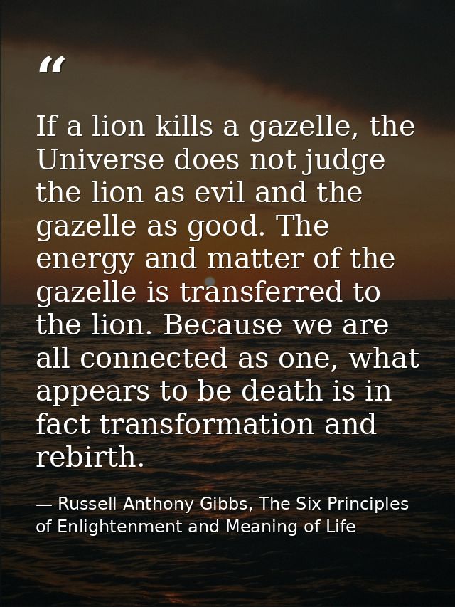 If a lion kills a gazelle, the Universe does not judge the lion as evil and the gazelle as good. The energy and matter o — Russell Anthony Gibbs, The Six Principles of Enlightenment and Meaning of Life