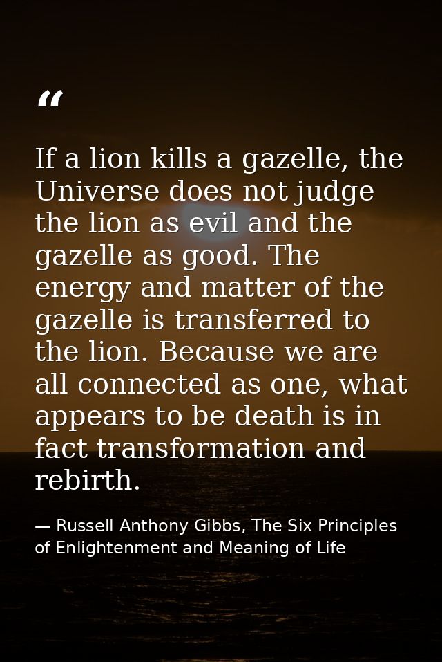 If a lion kills a gazelle, the Universe does not judge the lion as evil and the gazelle as good. The energy and matter o — Russell Anthony Gibbs, The Six Principles of Enlightenment and Meaning of Life