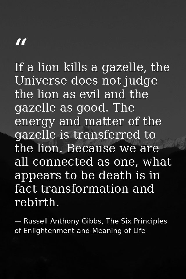 If a lion kills a gazelle, the Universe does not judge the lion as evil and the gazelle as good. The energy and matter o — Russell Anthony Gibbs, The Six Principles of Enlightenment and Meaning of Life