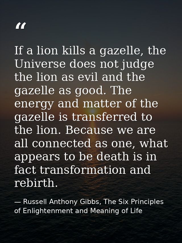 If a lion kills a gazelle, the Universe does not judge the lion as evil and the gazelle as good. The energy and matter o — Russell Anthony Gibbs, The Six Principles of Enlightenment and Meaning of Life