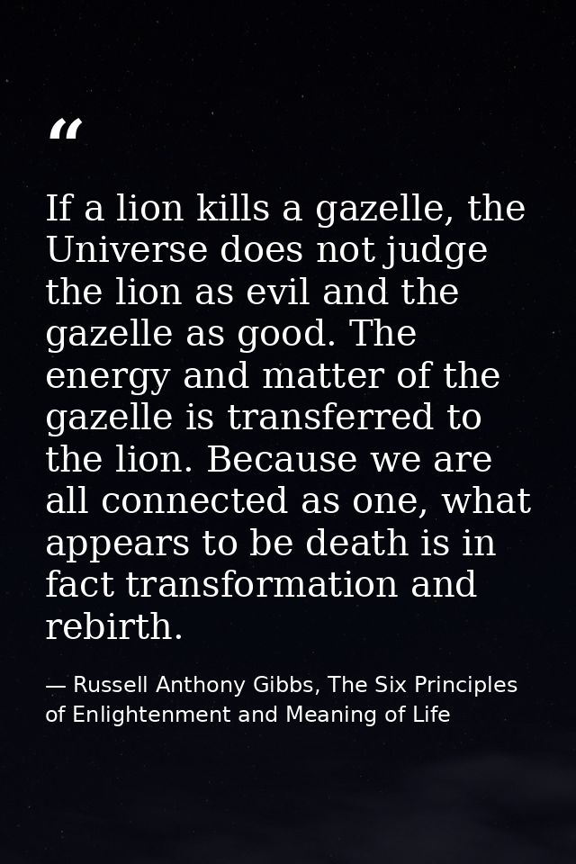 If a lion kills a gazelle, the Universe does not judge the lion as evil and the gazelle as good. The energy and matter o — Russell Anthony Gibbs, The Six Principles of Enlightenment and Meaning of Life