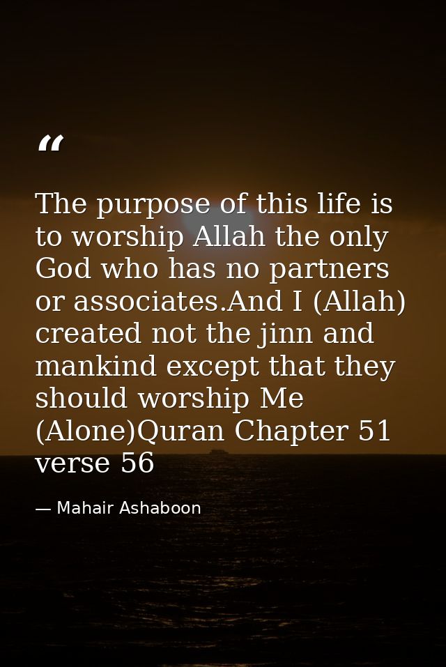 The purpose of this life is to worship Allah the only God who has no partners or associates.And I (Allah) created not th — Mahair Ashaboon
