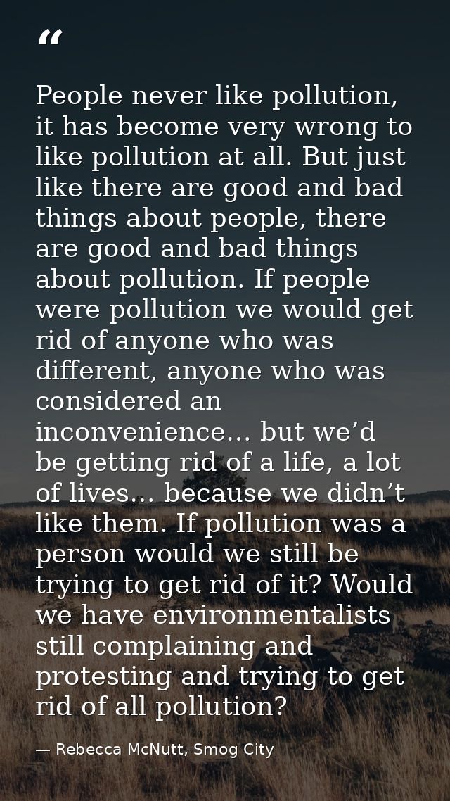People never like pollution, it has become very wrong to like pollution at all. But just like there are good and bad thi — Rebecca McNutt, Smog City