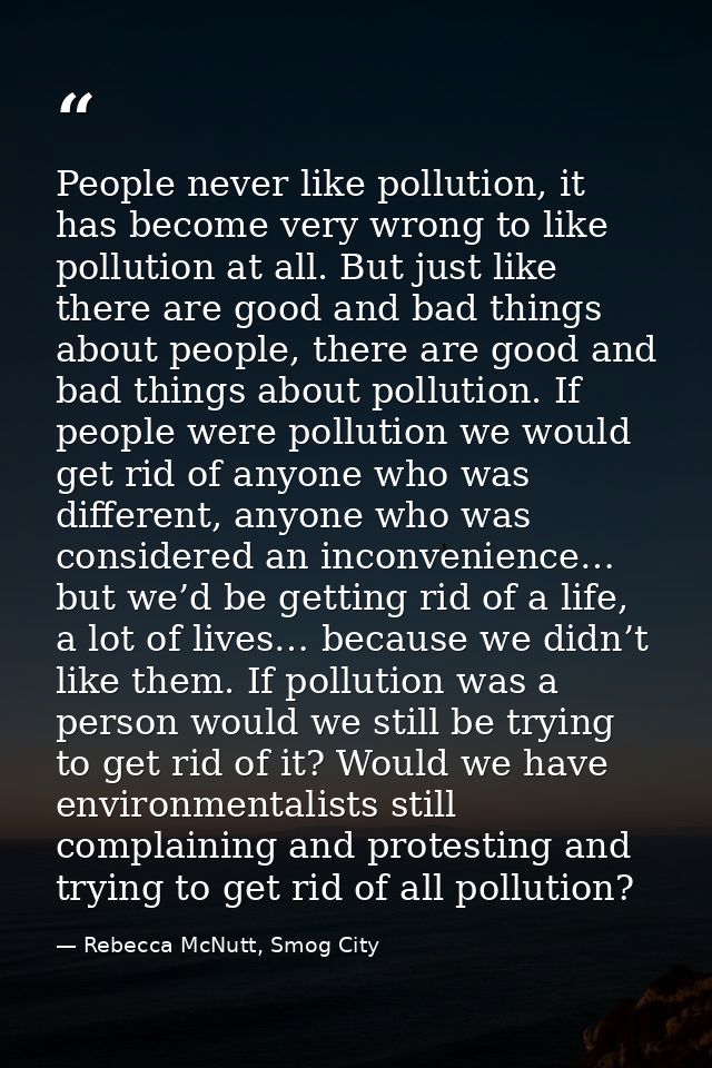 People never like pollution, it has become very wrong to like pollution at all. But just like there are good and bad thi — Rebecca McNutt, Smog City