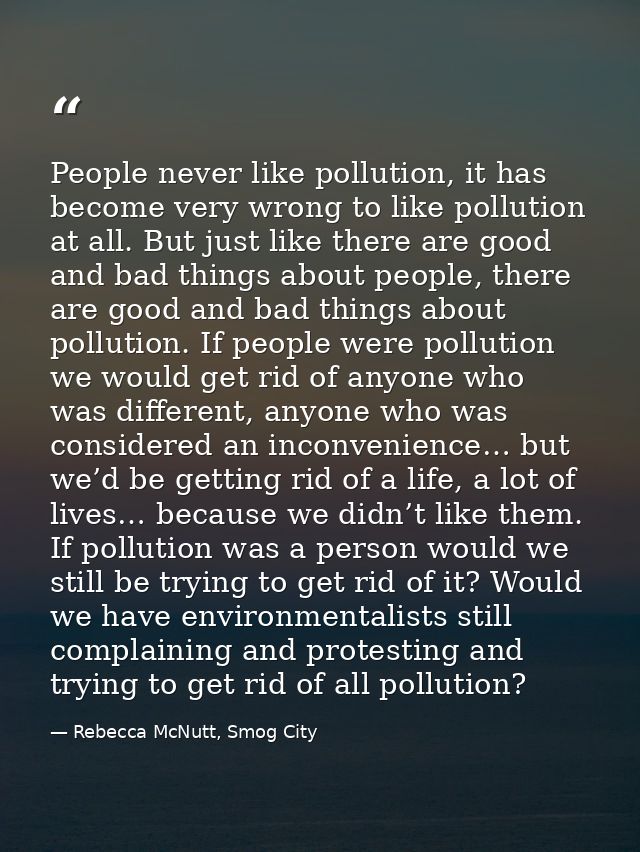 People never like pollution, it has become very wrong to like pollution at all. But just like there are good and bad thi — Rebecca McNutt, Smog City