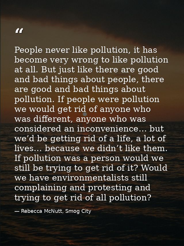 People never like pollution, it has become very wrong to like pollution at all. But just like there are good and bad thi — Rebecca McNutt, Smog City