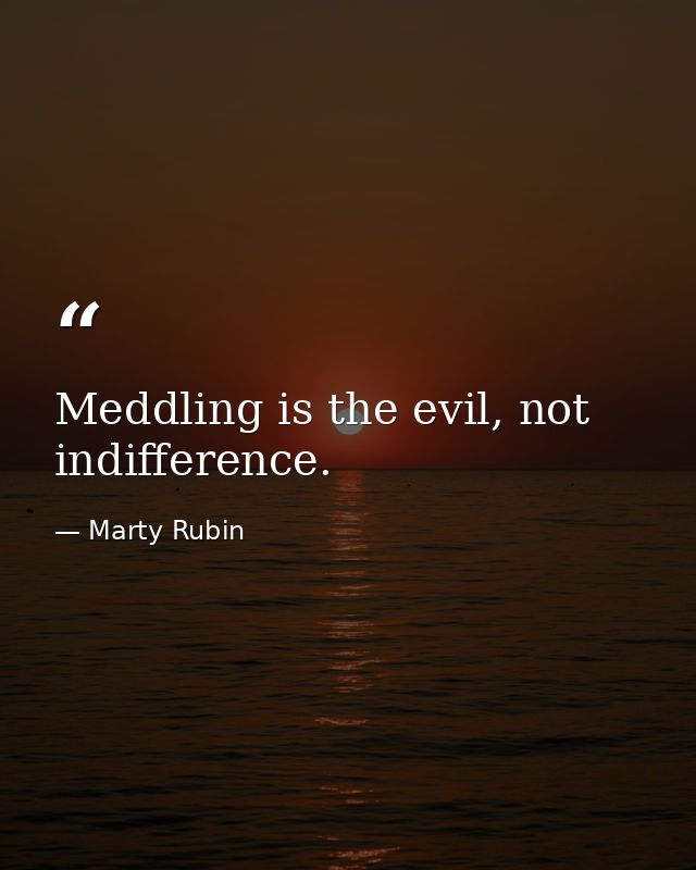 Meddling is the evil, not indifference. — Marty Rubin