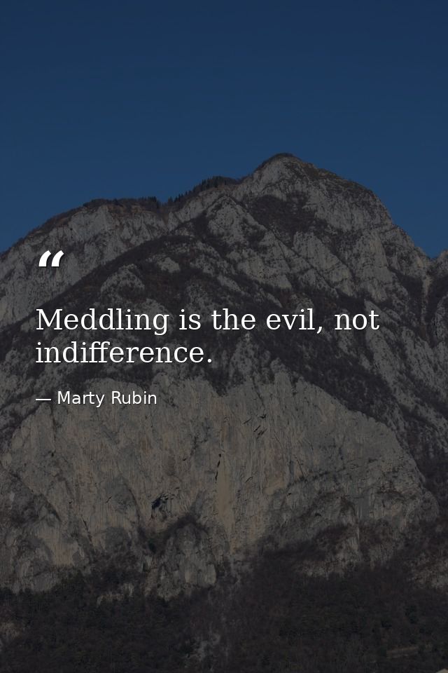 Meddling is the evil, not indifference. — Marty Rubin