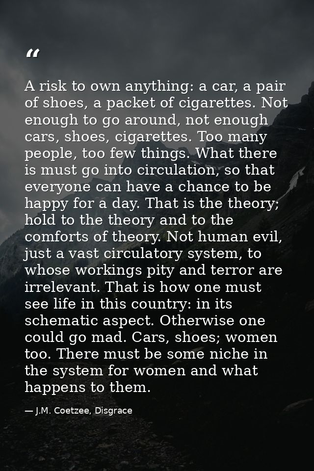 A risk to own anything: a car, a pair of shoes, a packet of cigarettes. Not enough to go around, not enough cars, shoes, — J.M. Coetzee, Disgrace