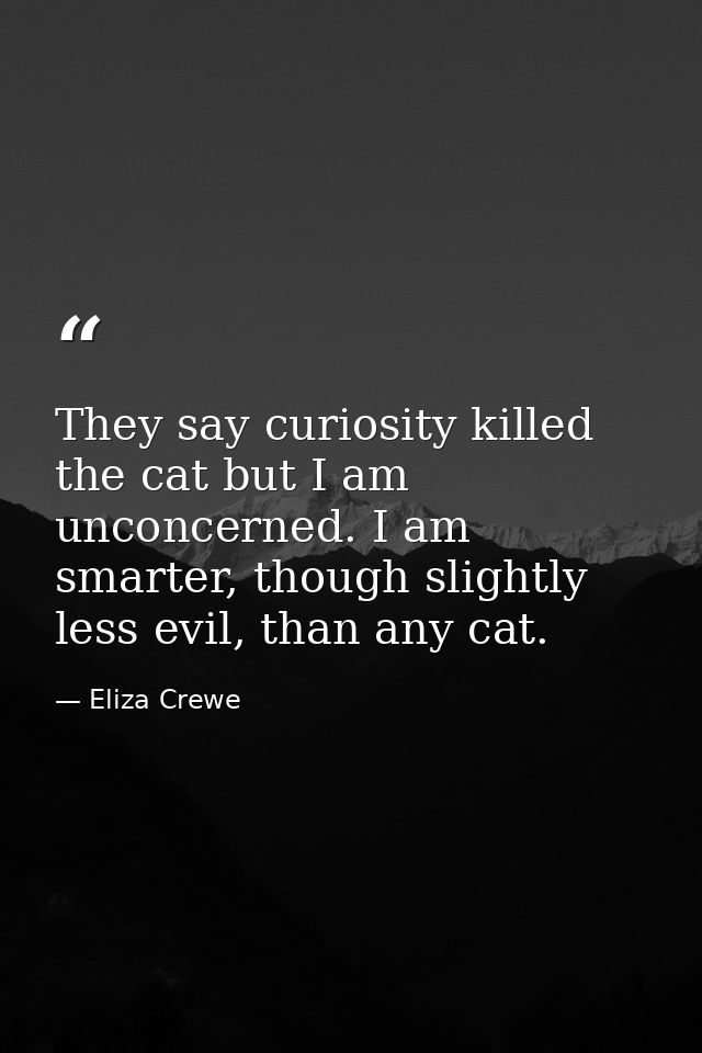 They say curiosity killed the cat but I am unconcerned. I am smarter, though slightly less evil, than any cat. — Eliza Crewe