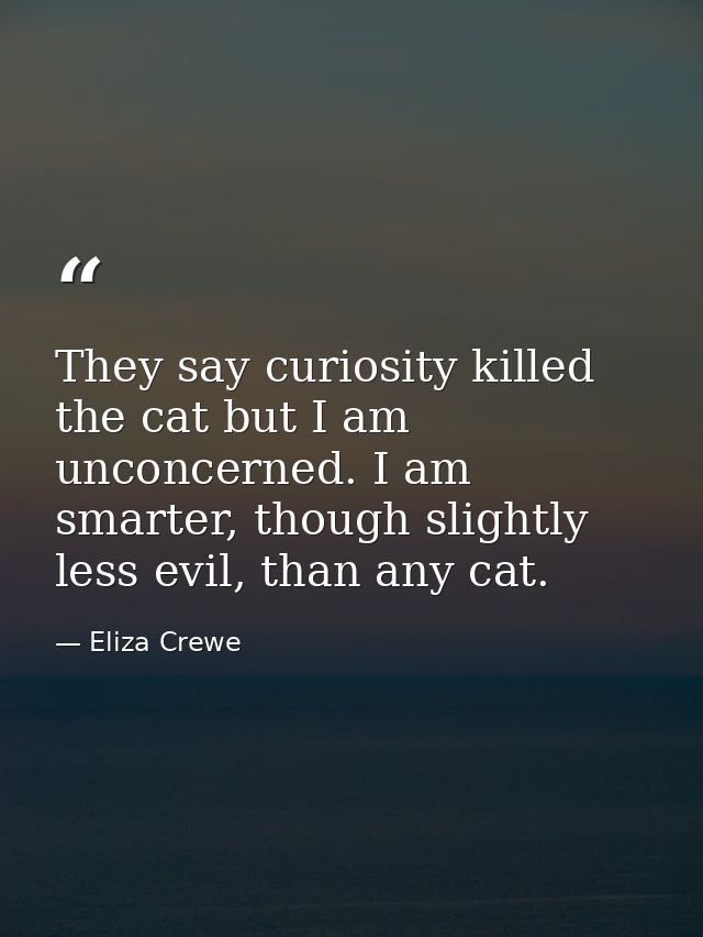 They say curiosity killed the cat but I am unconcerned. I am smarter, though slightly less evil, than any cat. — Eliza Crewe