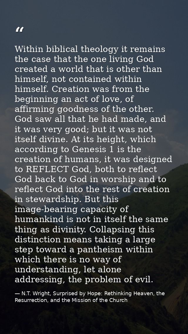 Within biblical theology it remains the case that the one living God created a world that is other than himself, not con — N.T. Wright, Surprised by Hope: Rethinking Heaven, the Resurrection, and the Mission of the Church