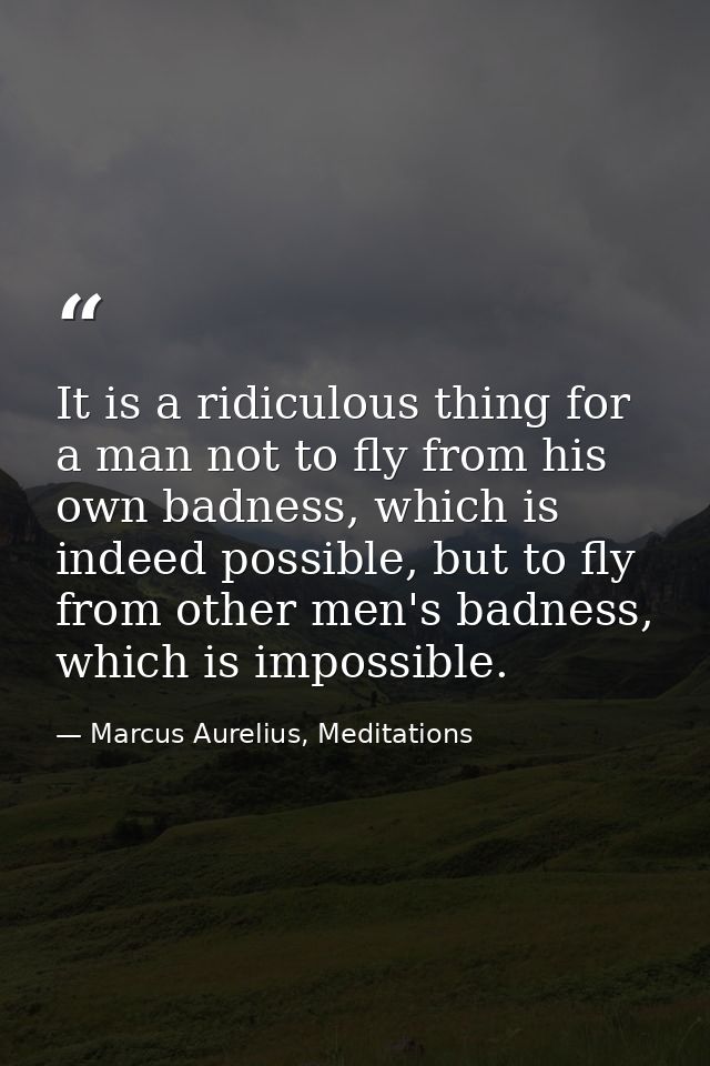 It is a ridiculous thing for a man not to fly from his own badness, which is indeed possible, but to fly from other men' — Marcus Aurelius, Meditations