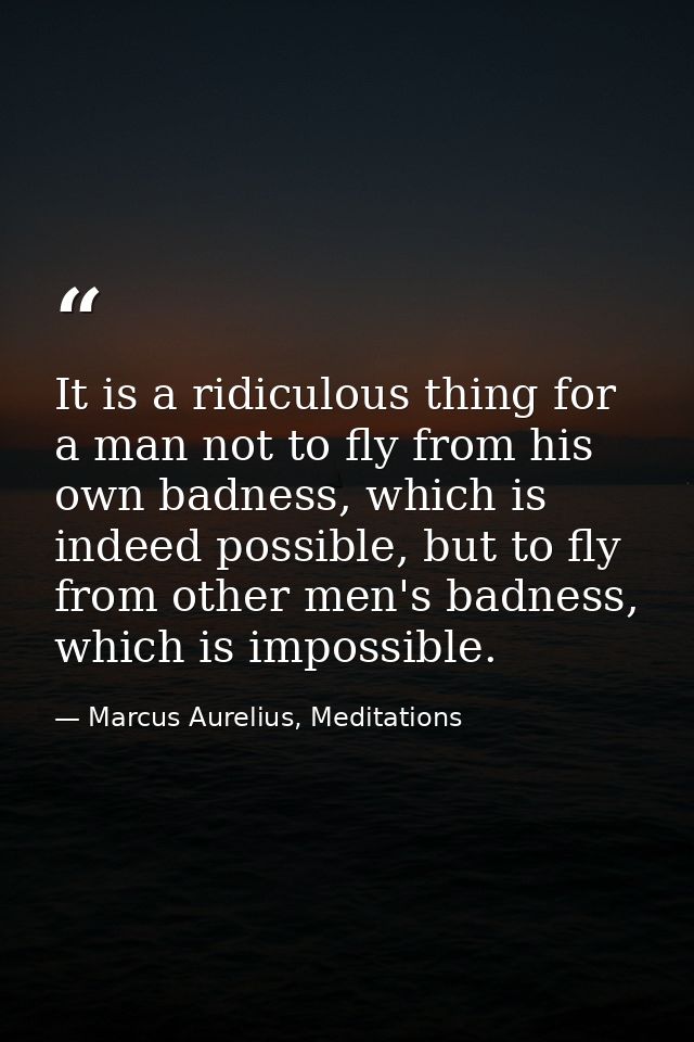 It is a ridiculous thing for a man not to fly from his own badness, which is indeed possible, but to fly from other men' — Marcus Aurelius, Meditations