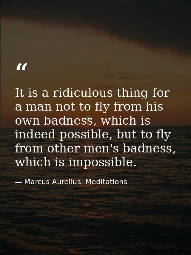 It is a ridiculous thing for a man not to fly from his own badness, which is indeed possible, but to fly from other men' — Marcus Aurelius, Meditations