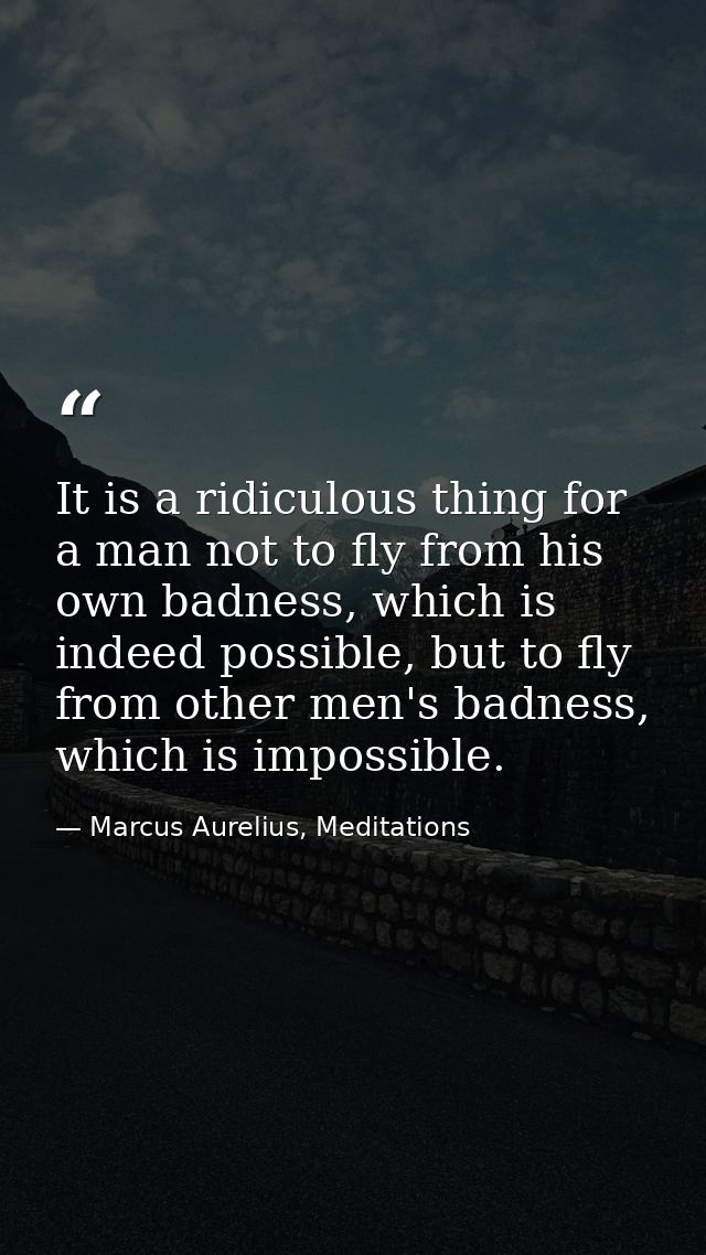 It is a ridiculous thing for a man not to fly from his own badness, which is indeed possible, but to fly from other men' — Marcus Aurelius, Meditations