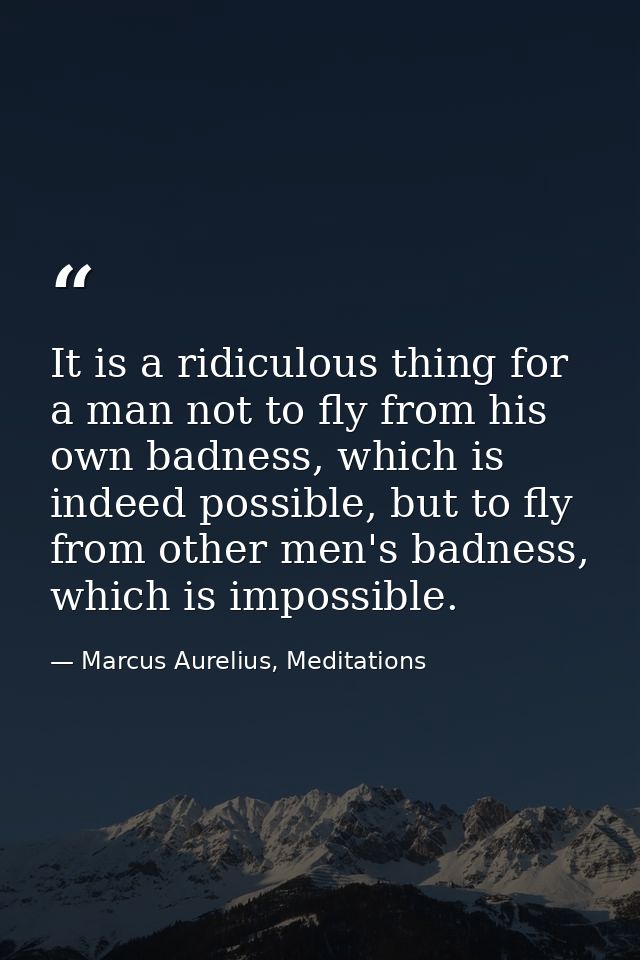 It is a ridiculous thing for a man not to fly from his own badness, which is indeed possible, but to fly from other men' — Marcus Aurelius, Meditations