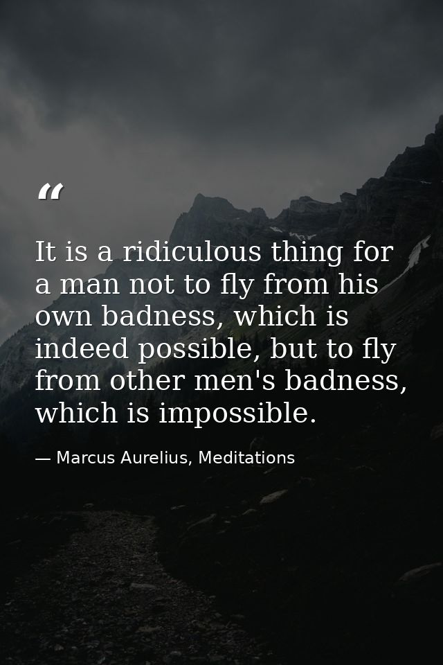 It is a ridiculous thing for a man not to fly from his own badness, which is indeed possible, but to fly from other men' — Marcus Aurelius, Meditations