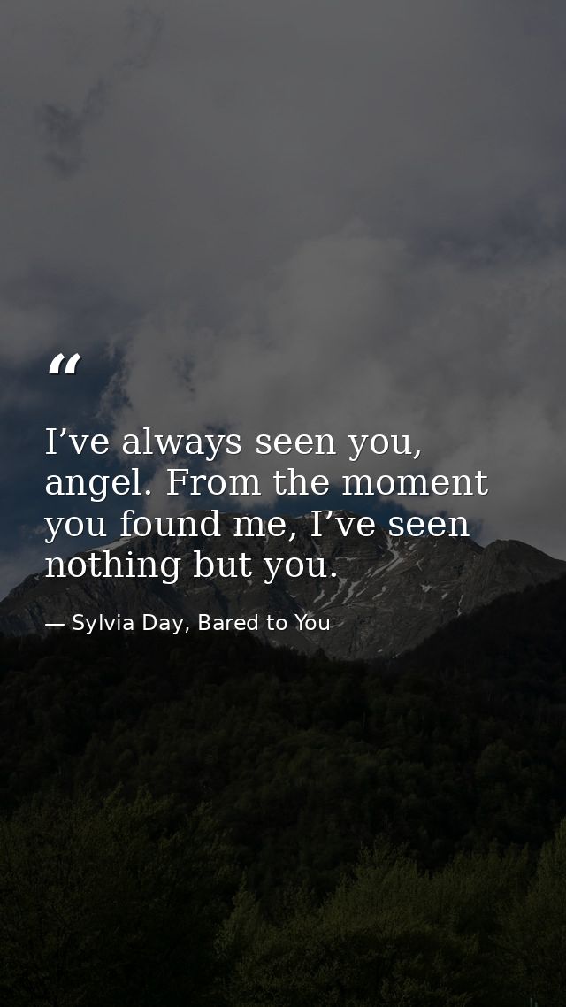 I’ve always seen you, angel. From the moment you found me, I’ve seen nothing but you. — Sylvia Day, Bared to You