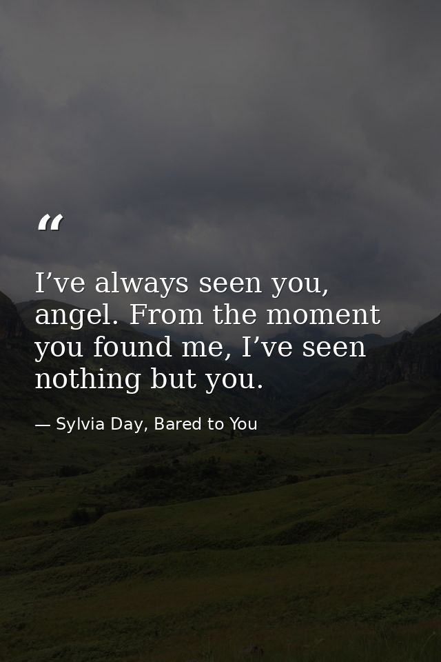 I’ve always seen you, angel. From the moment you found me, I’ve seen nothing but you. — Sylvia Day, Bared to You