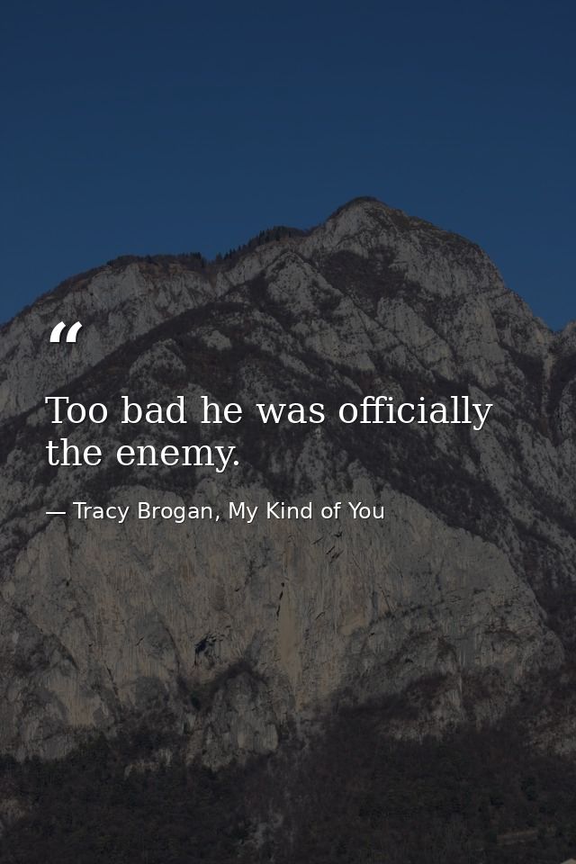 Too bad he was officially the enemy. — Tracy Brogan, My Kind of You