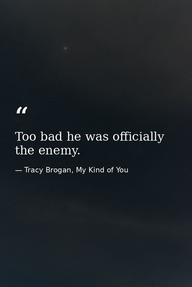 Too bad he was officially the enemy. — Tracy Brogan, My Kind of You