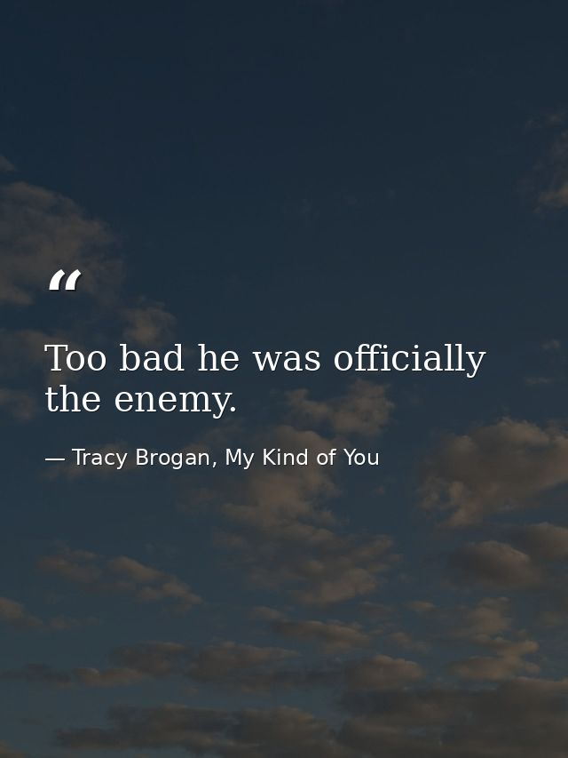 Too bad he was officially the enemy. — Tracy Brogan, My Kind of You