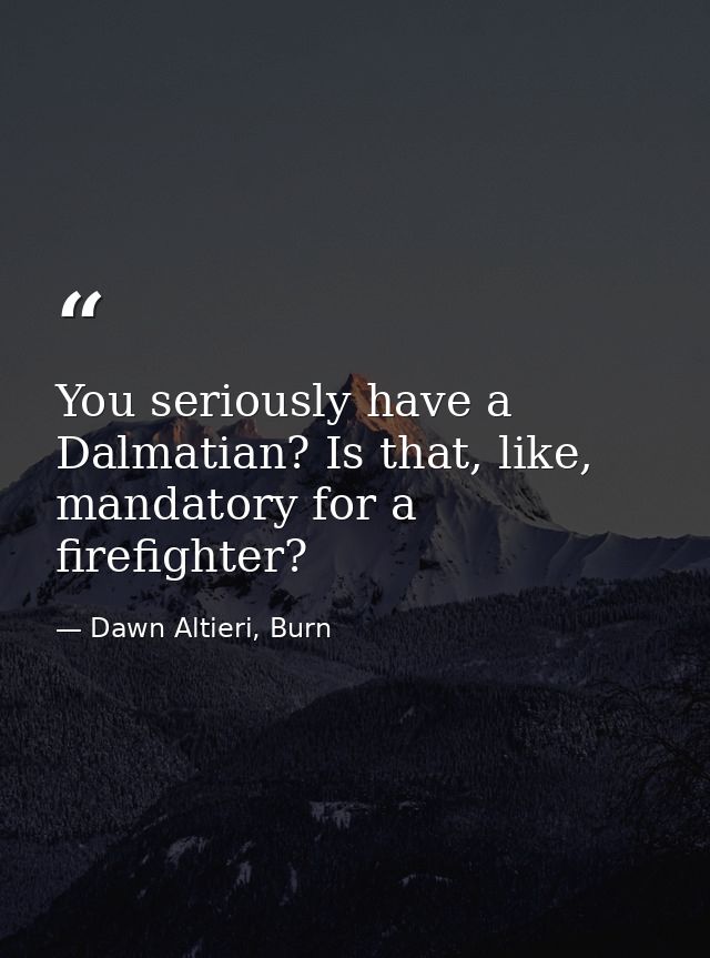 You seriously have a Dalmatian? Is that, like, mandatory for a firefighter? — Dawn Altieri, Burn