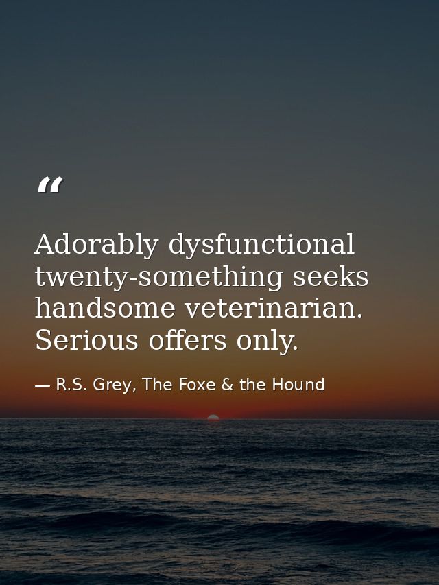 Adorably dysfunctional twenty-something seeks handsome veterinarian. Serious offers only. — R.S. Grey, The Foxe & the Hound
