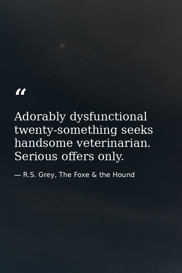 Adorably dysfunctional twenty-something seeks handsome veterinarian. Serious offers only. — R.S. Grey, The Foxe & the Hound