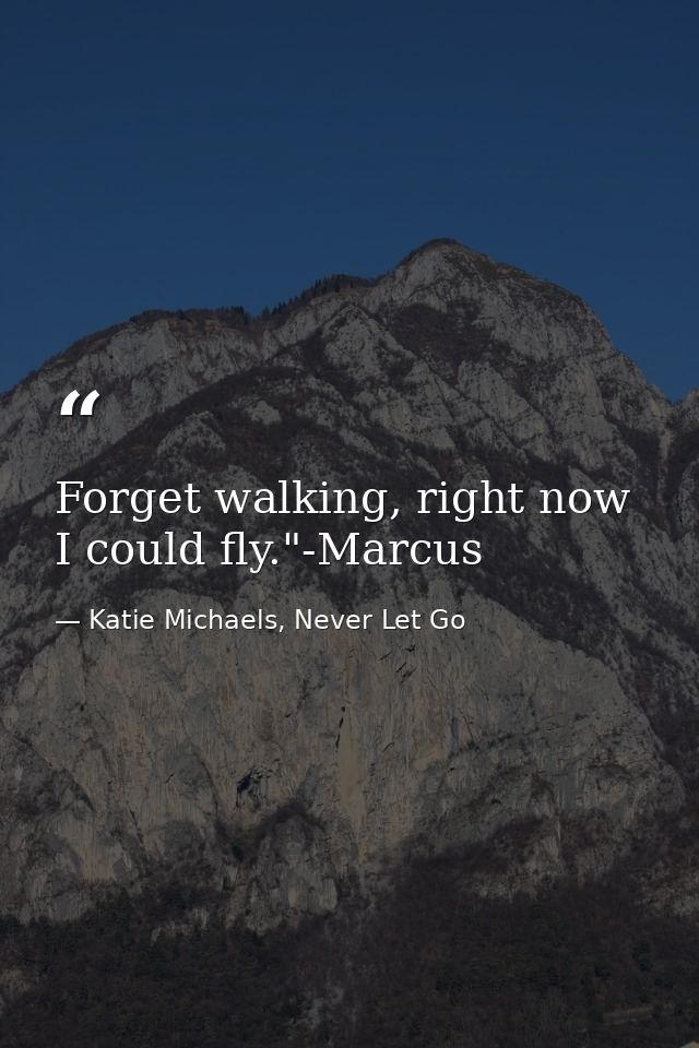 Forget walking, right now I could fly."-Marcus — Katie Michaels, Never Let Go