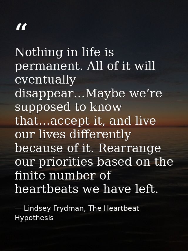 Nothing in life is permanent. All of it will eventually disappear…Maybe we’re supposed to know that…accept it, and live  — Lindsey Frydman, The Heartbeat Hypothesis